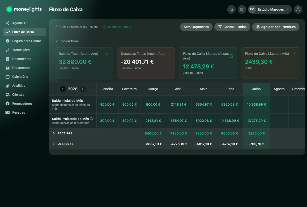 Ecrã de Fluxo de Caixa do MoneyLights: receita total, despesas e fluxo líquido do ano, com o saldo mês a mês a evoluir