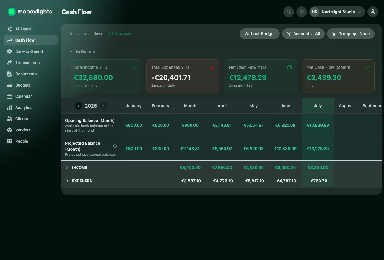 MoneyLights Cash Flow screen: total revenue, expenses and net flow for the year, with the balance evolving month by month