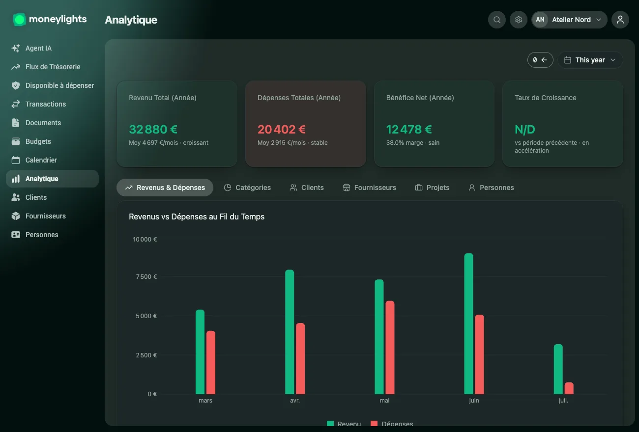Écran d'Analytique de MoneyLights : revenu, dépenses et profit net de l'année et un graphique des recettes face aux dépenses mois après mois