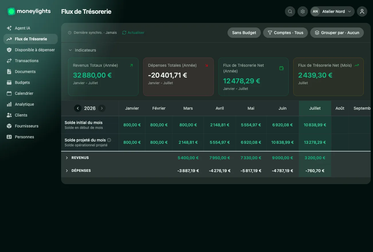 Écran de Flux de trésorerie de MoneyLights : revenu total, dépenses et flux net de l'année, avec le solde qui évolue mois après mois