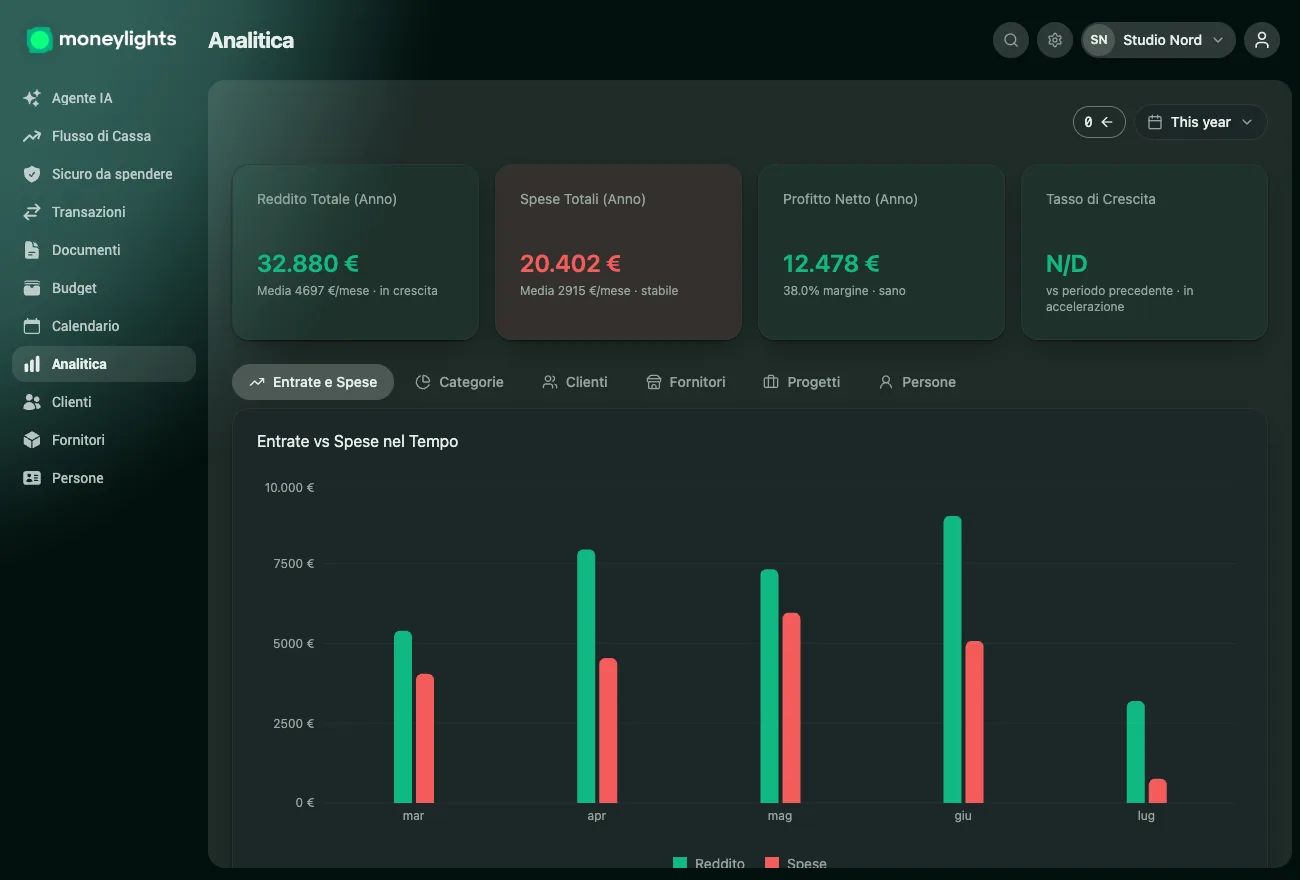 Schermata di Analitica di MoneyLights: ricavi, spese e profitto netto dell'anno e un grafico di ricavi contro spese mese per mese