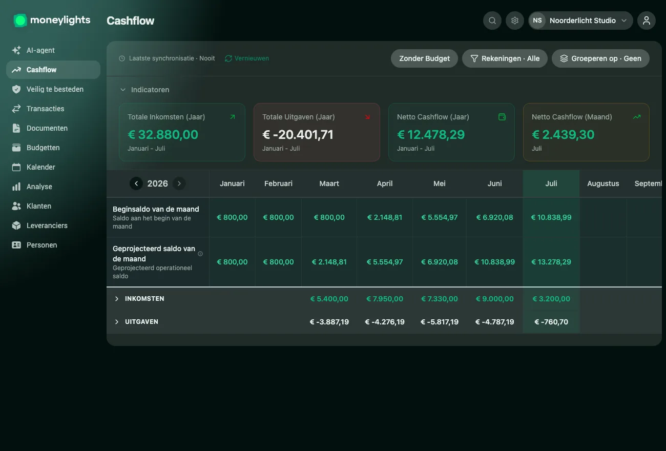 Cashflow-scherm van MoneyLights: totale inkomsten, uitgaven en de nettocashflow van het jaar, met het saldo dat maand na maand evolueert